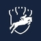 SCONE PALACE INTERNATIONAL HORSE TRIALS – SHOWJUMPING ENTRIES CLOSE THIS MONDAY 4TH AUGUST 2025